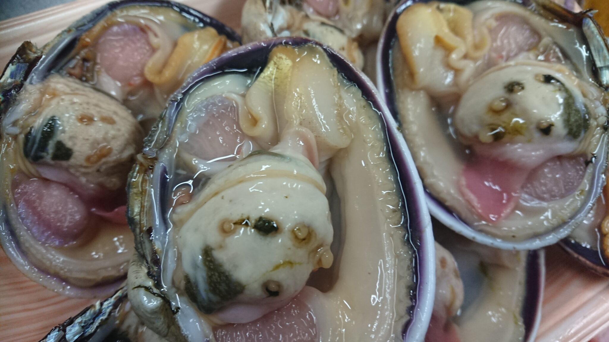 渥美産の大あさり入荷 伊良湖・恋路ヶ浜 地魚の宿 たかのや 宿泊・食事・宴会・ふぐ料理・ゴルフ・BBQ 渥美産の大あさり入荷 伊良湖・恋路ヶ浜 地魚の宿 たかのや 宿泊・食事・宴会・ふぐ料理・ゴルフ・BBQ